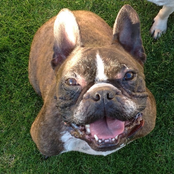 Meet your Posher, Michelle - Picture 1 of 1